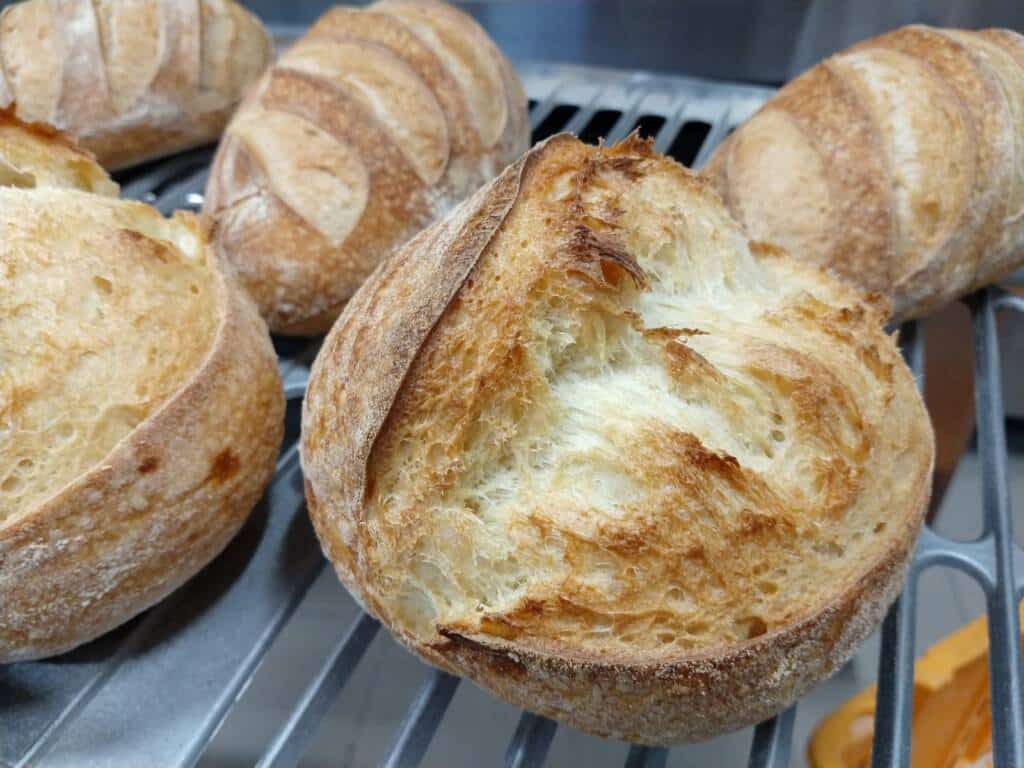 Pane